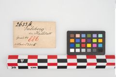 Etikett zu Bronzerollenkopfnadel (NHMW-PRAE-026336)